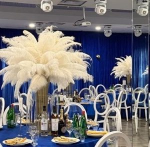 Clear Back Louis Chairs