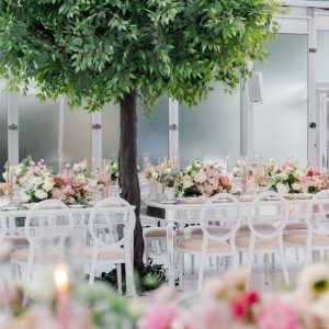 Green Ficus Tree